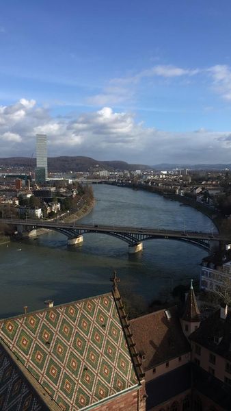 Blick über den Rhein in Basel mit Brücken